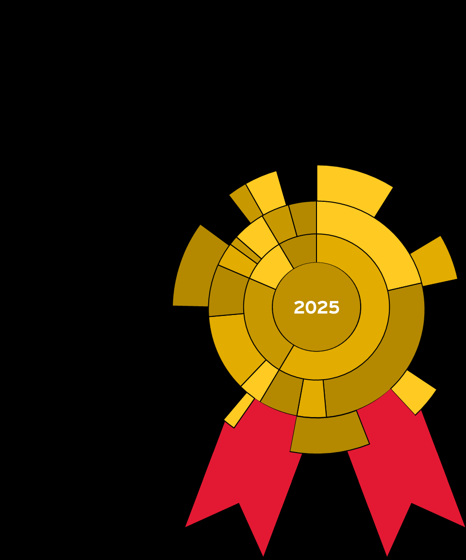 Data Viz Championship Icon